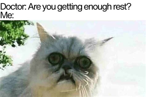 exhaustipated meme|Exhausted Meme GIFs .